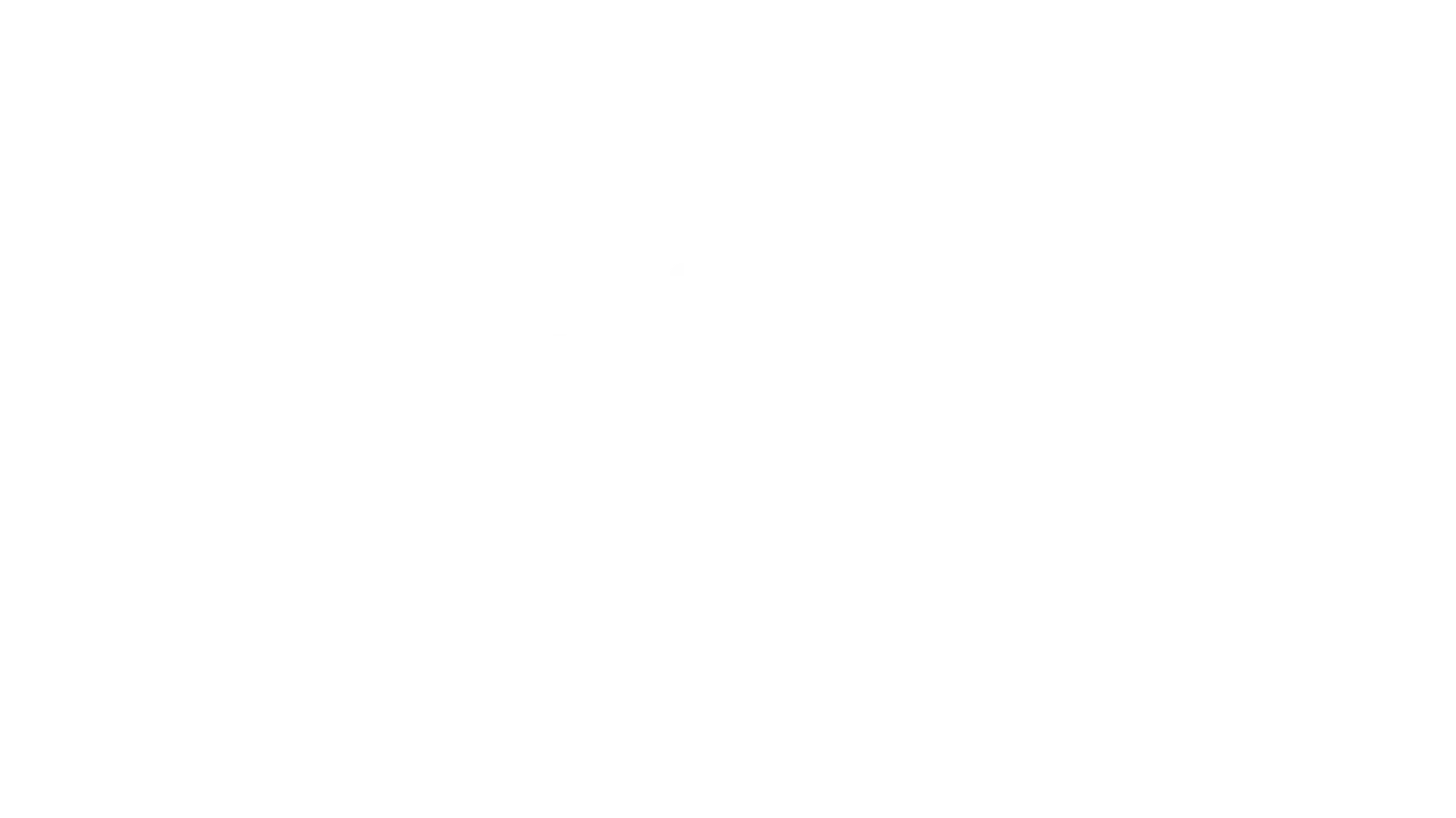 fs1-logo-1